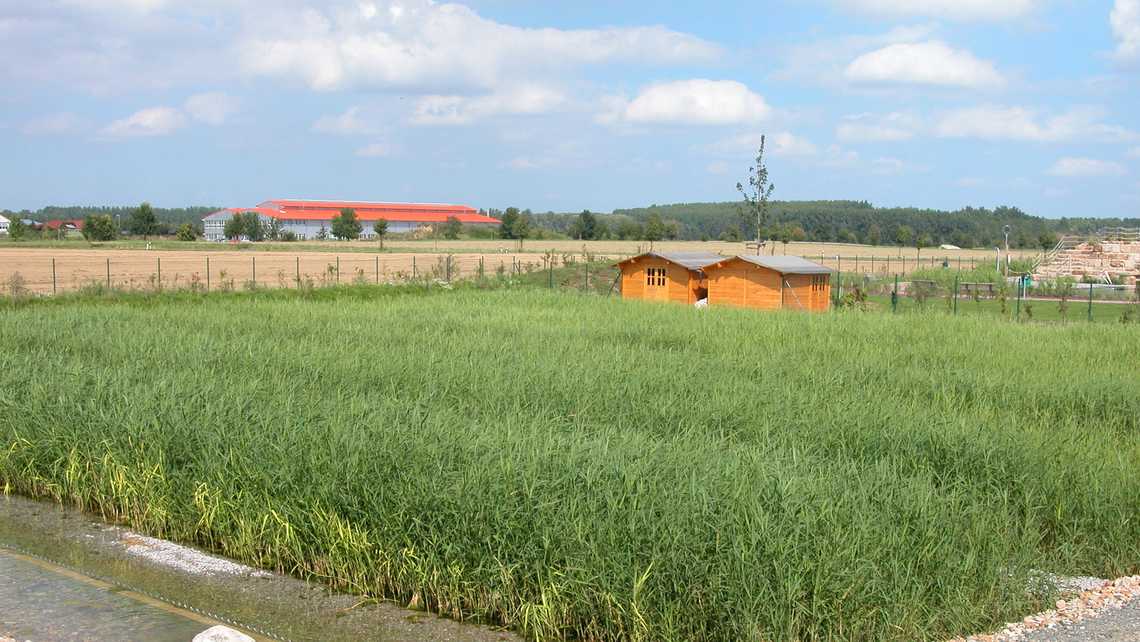 Naturbad Lengede 